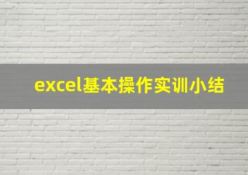 excel基本操作实训小结