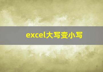 excel大写变小写