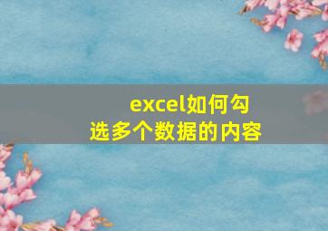 excel如何勾选多个数据的内容