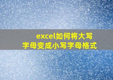 excel如何将大写字母变成小写字母格式