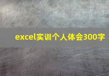 excel实训个人体会300字