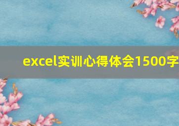 excel实训心得体会1500字