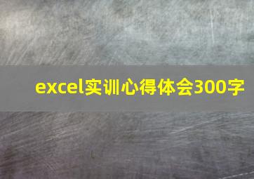 excel实训心得体会300字