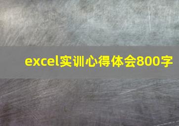 excel实训心得体会800字