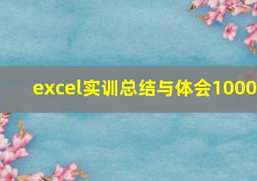 excel实训总结与体会1000