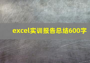 excel实训报告总结600字