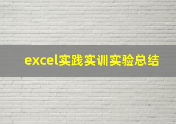 excel实践实训实验总结