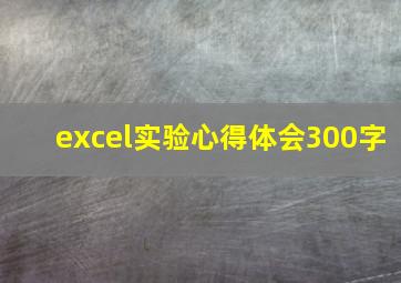 excel实验心得体会300字