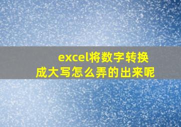 excel将数字转换成大写怎么弄的出来呢