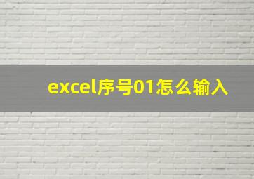 excel序号01怎么输入