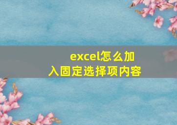 excel怎么加入固定选择项内容