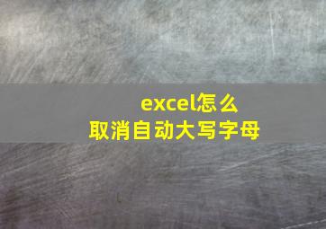 excel怎么取消自动大写字母