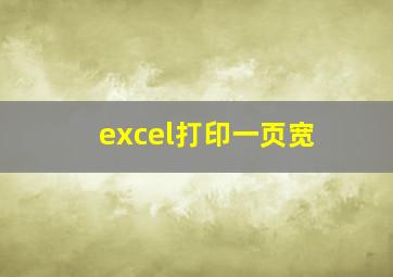 excel打印一页宽