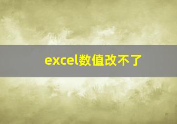 excel数值改不了