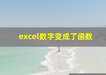 excel数字变成了函数