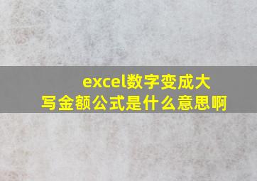 excel数字变成大写金额公式是什么意思啊