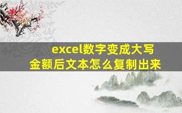 excel数字变成大写金额后文本怎么复制出来