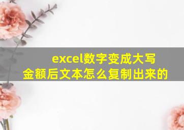 excel数字变成大写金额后文本怎么复制出来的