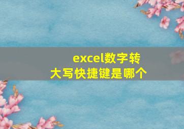 excel数字转大写快捷键是哪个