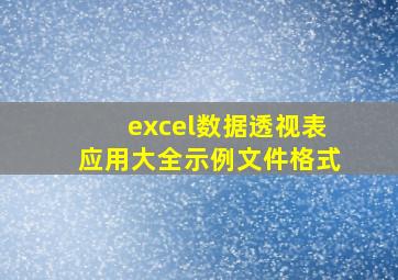 excel数据透视表应用大全示例文件格式