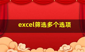 excel筛选多个选项