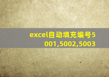 excel自动填充编号5001,5002,5003