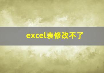 excel表修改不了