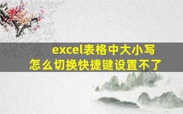 excel表格中大小写怎么切换快捷键设置不了