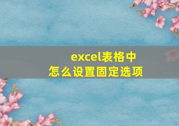 excel表格中怎么设置固定选项