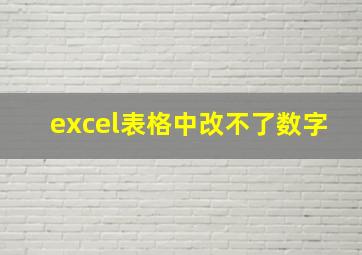 excel表格中改不了数字