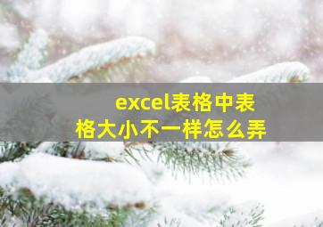 excel表格中表格大小不一样怎么弄