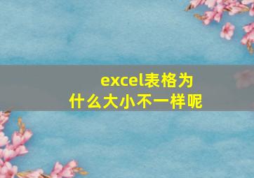 excel表格为什么大小不一样呢