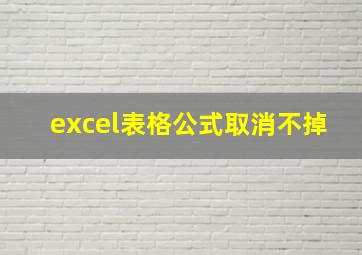 excel表格公式取消不掉