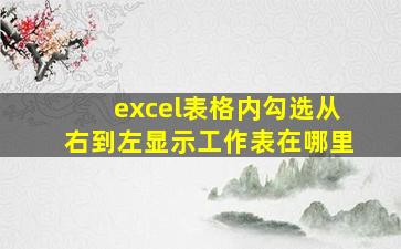 excel表格内勾选从右到左显示工作表在哪里