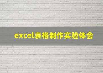 excel表格制作实验体会