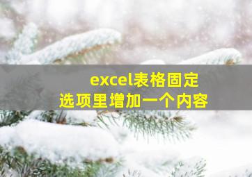 excel表格固定选项里增加一个内容