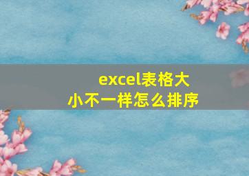 excel表格大小不一样怎么排序