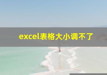 excel表格大小调不了