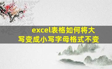 excel表格如何将大写变成小写字母格式不变