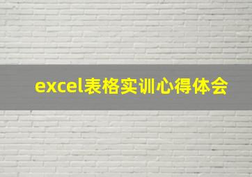 excel表格实训心得体会