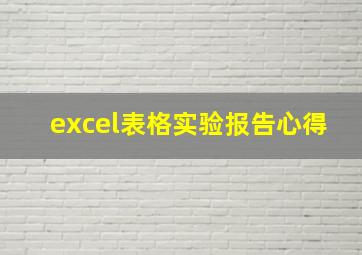 excel表格实验报告心得