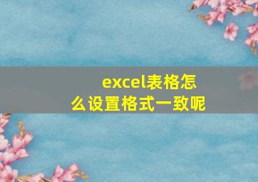 excel表格怎么设置格式一致呢