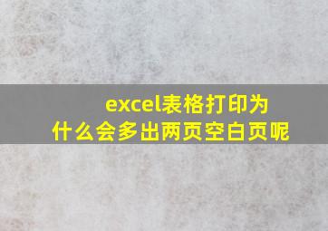 excel表格打印为什么会多出两页空白页呢