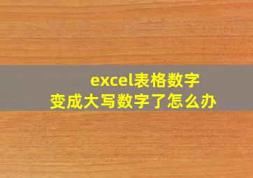 excel表格数字变成大写数字了怎么办