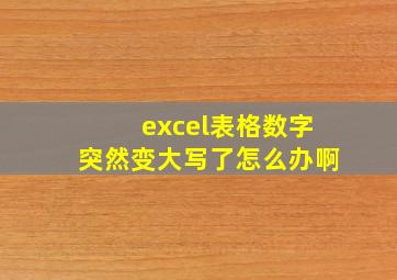 excel表格数字突然变大写了怎么办啊