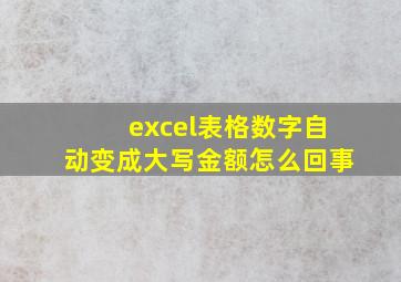 excel表格数字自动变成大写金额怎么回事