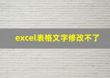 excel表格文字修改不了