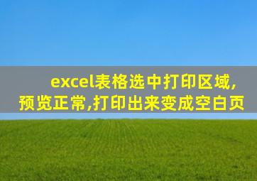 excel表格选中打印区域,预览正常,打印出来变成空白页