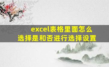 excel表格里面怎么选择是和否进行选择设置