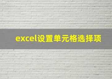 excel设置单元格选择项